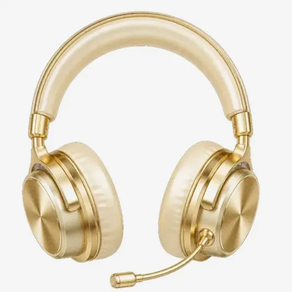 Headset with microphone — Casino Winbeast